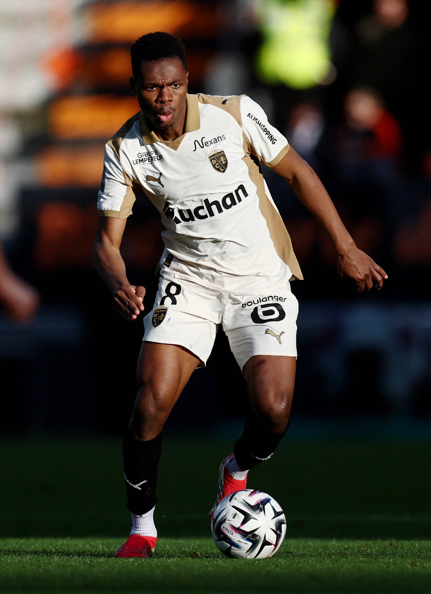 Speltips Lens - Angers