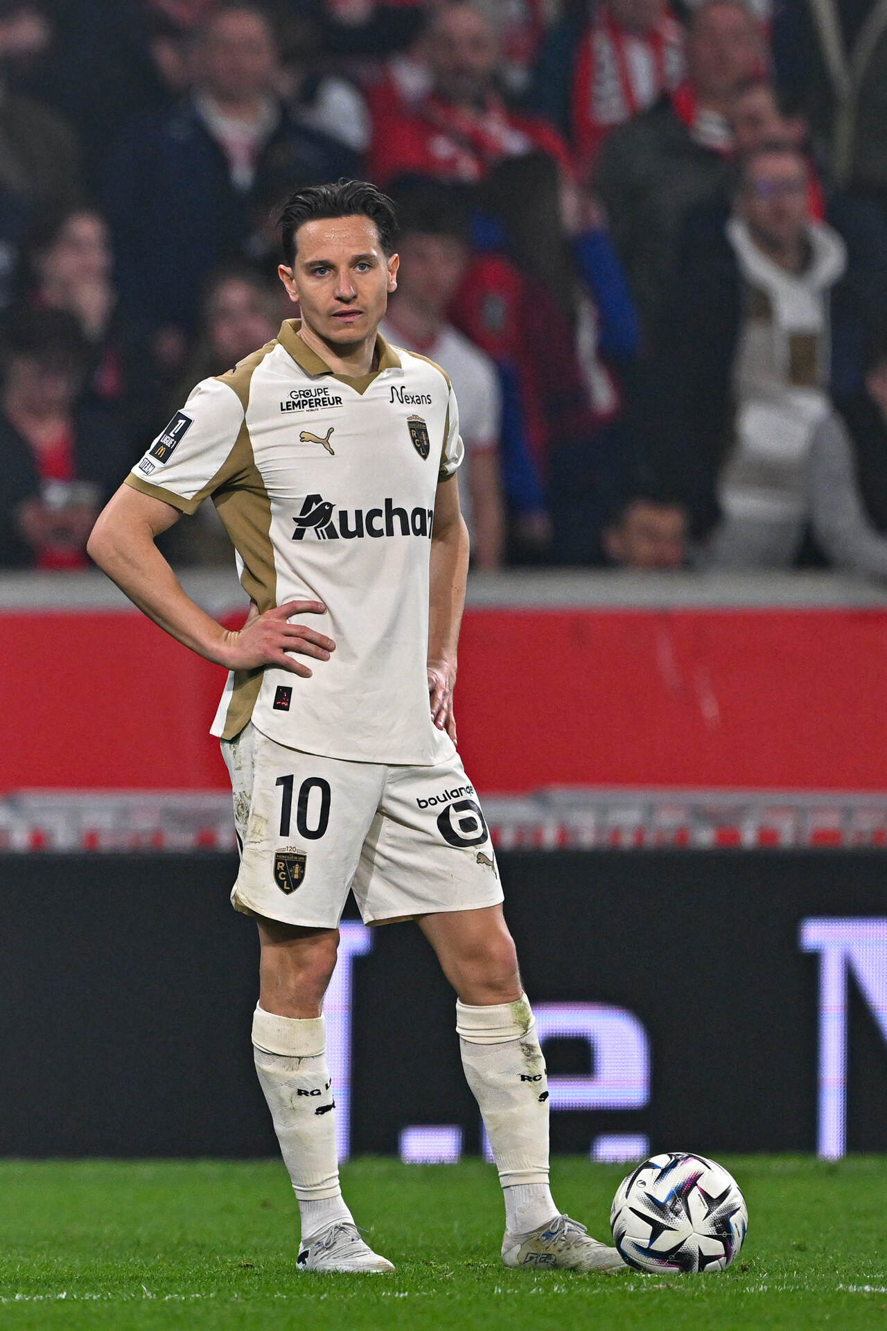 Speltips Lens - Toulouse