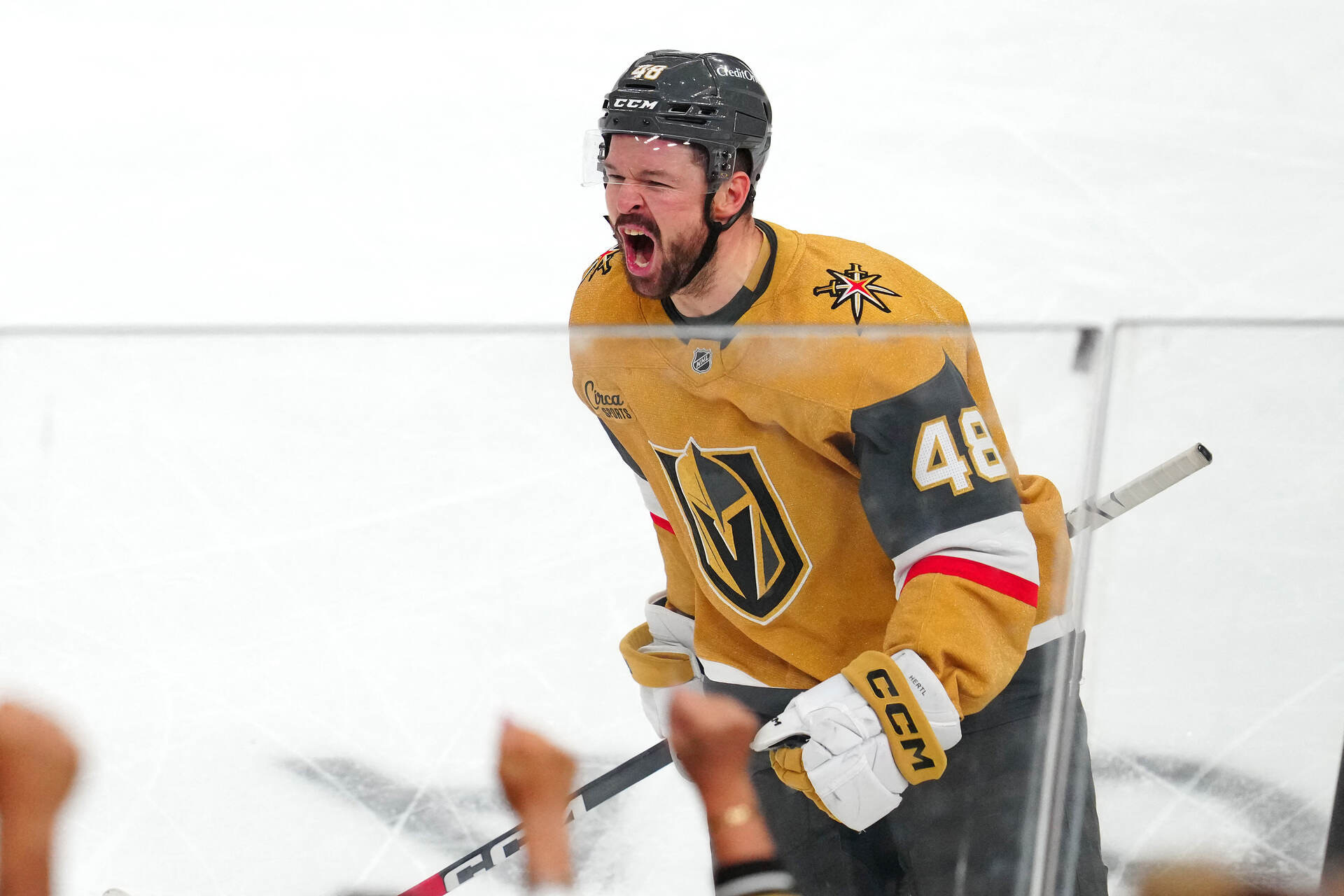 Speltips Vegas - Colorado