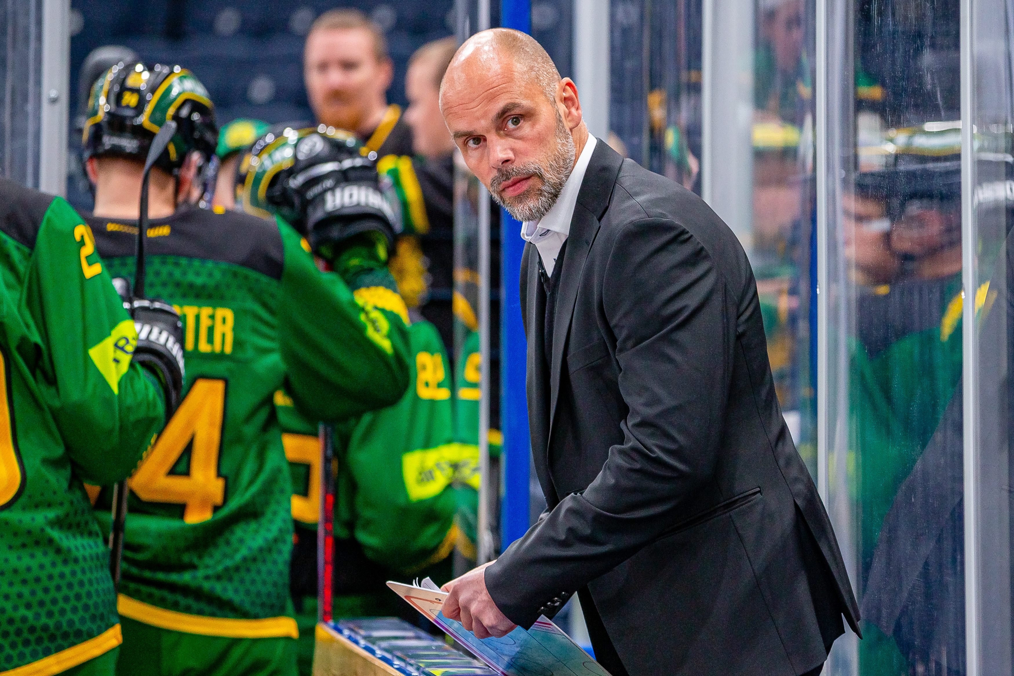 Speltips Lukko - Ilves