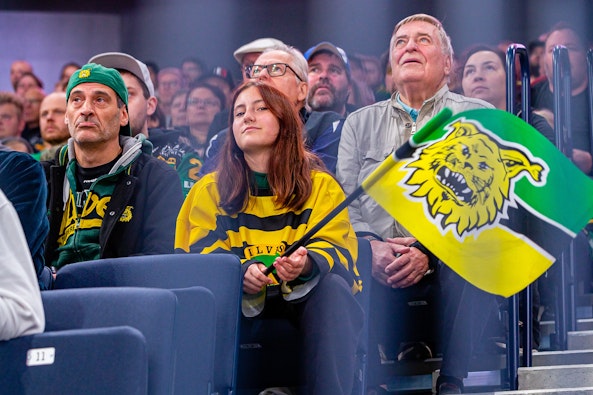 Ilves fans