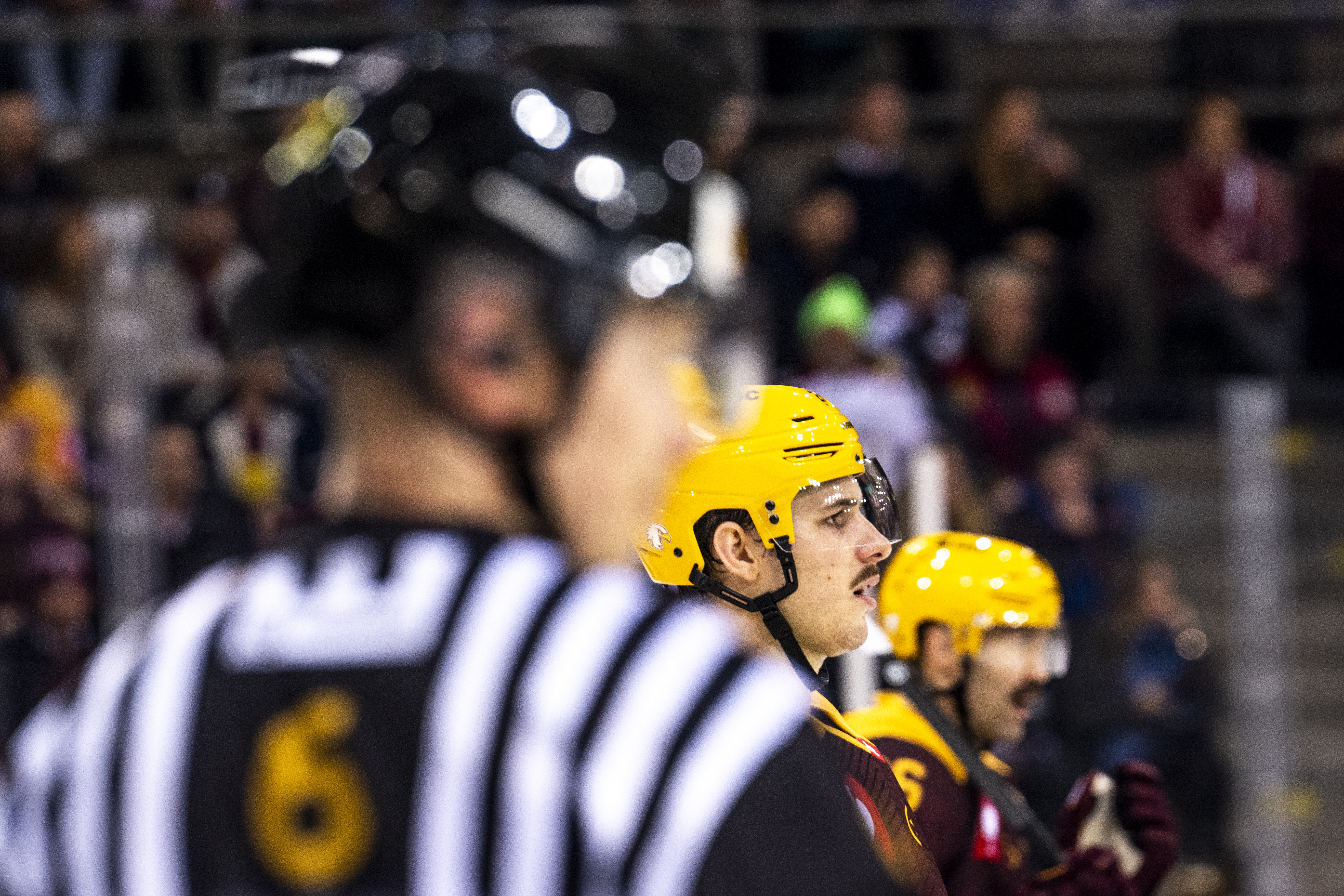 Speltips Genève-Servette HC - Storhamar