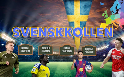 Svenskkollen