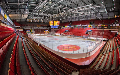 Monitor ERP Arena Gavle Brynas IF