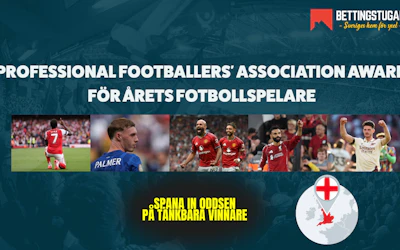 Odds årets fotbollsspelare i england - PFA - Bettingstugan