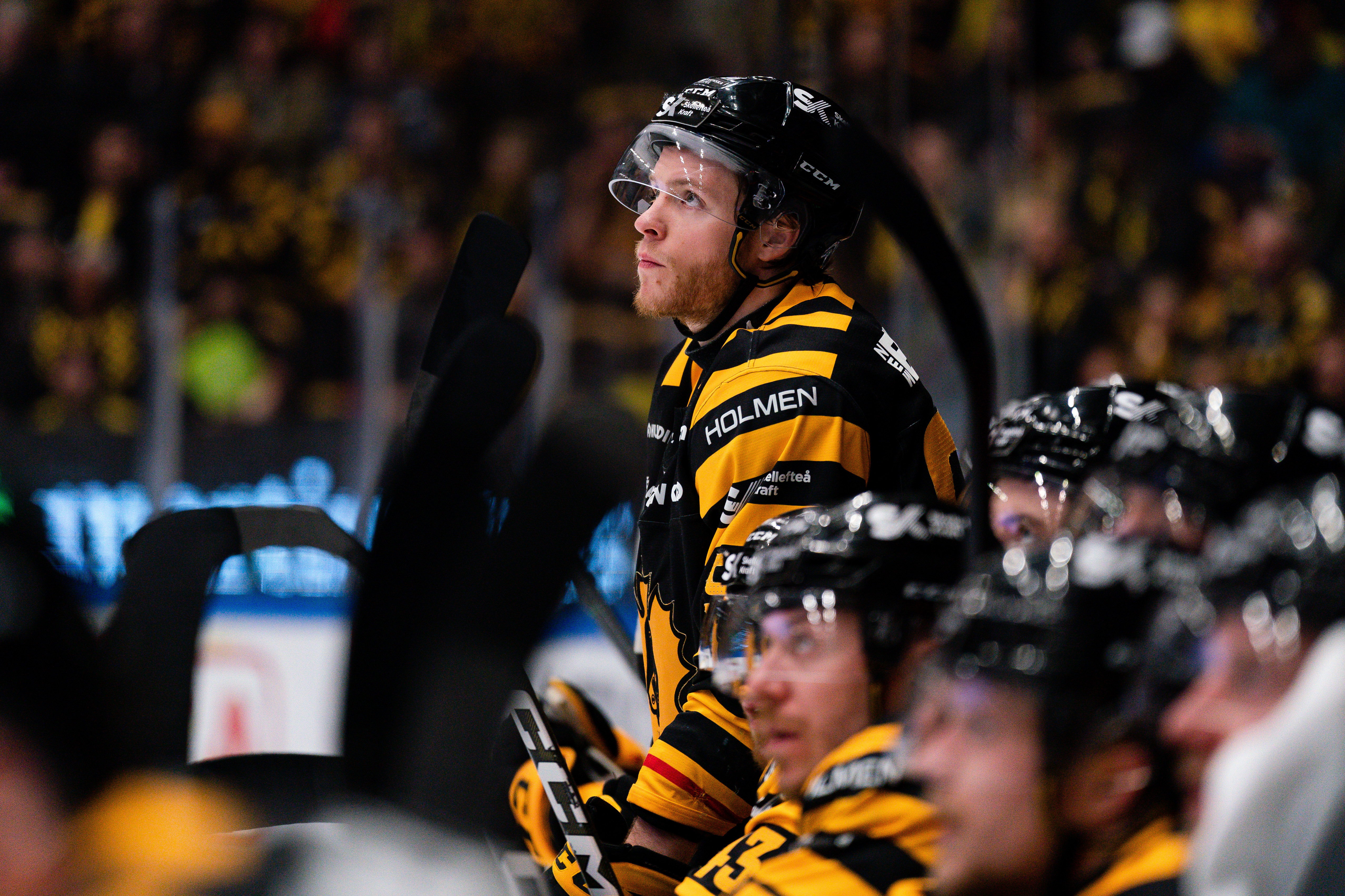 Speltips Skellefteå AIK - Modo Hockey