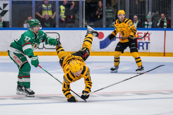 Rogle SAIK SM final SHL