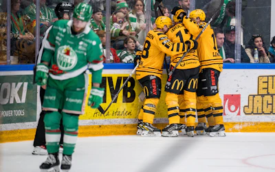 Rogle Skelleftea AIK SM final SHL