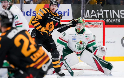 Rogle Skelleftea SM slutspel SM final SHL