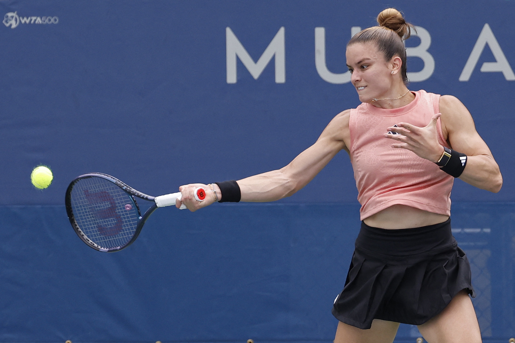 Speltips Zheng - Sakkari