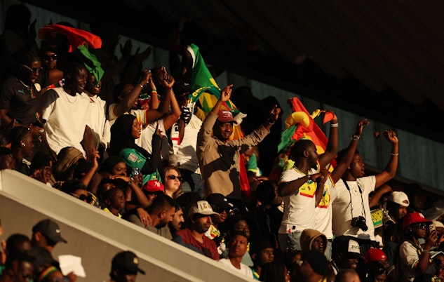 Senegal fans 3