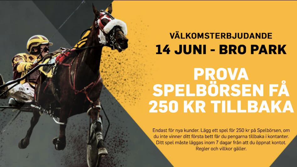 Skarmavbild 2020 06 14 kl 07 45 54