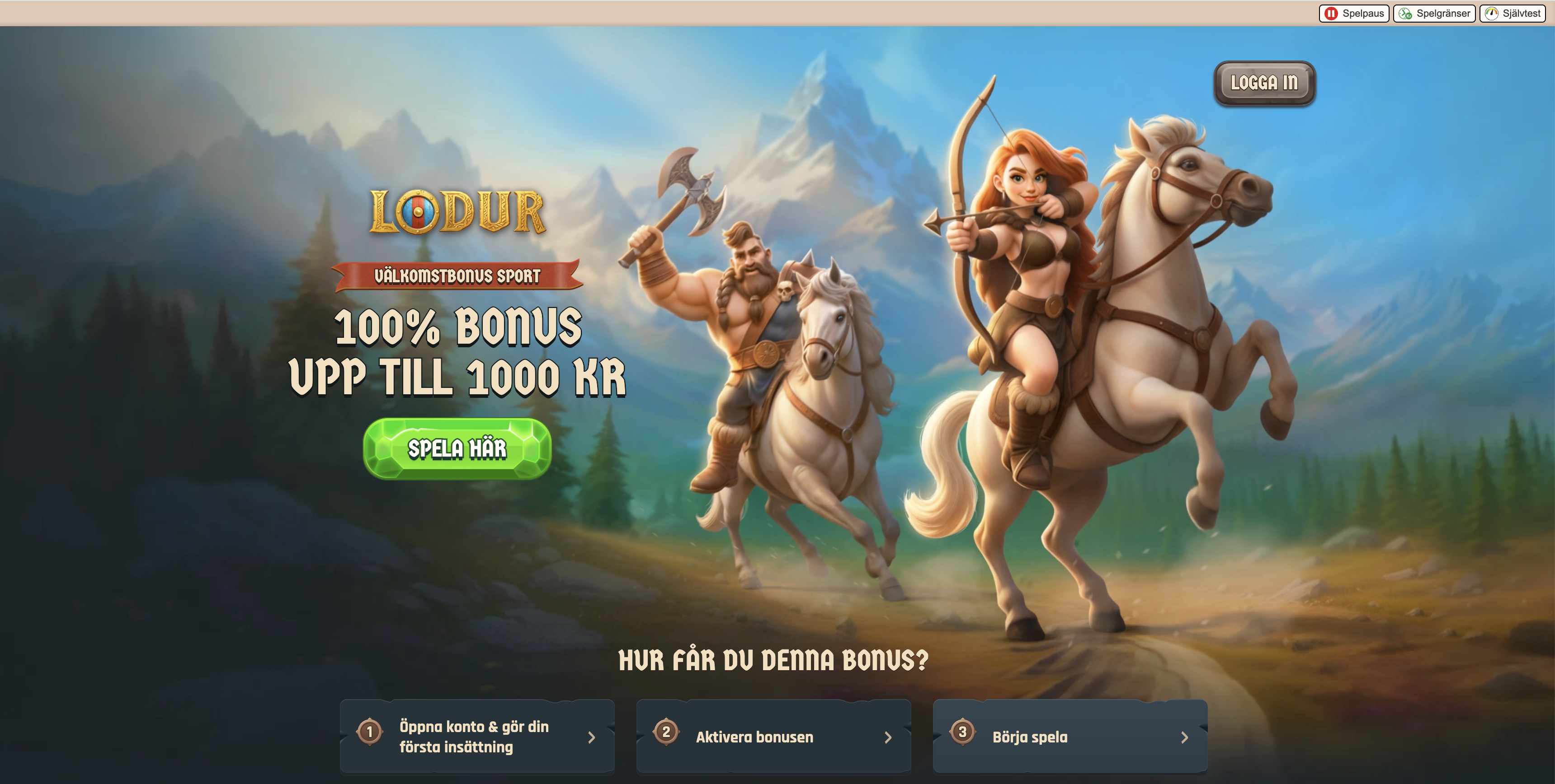 Skarmavbild 2026 02 10 kl 12 08 25