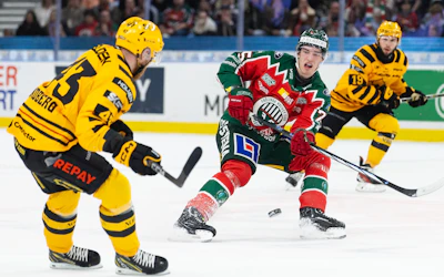 Skelleftea AIK Froluna SM semifinal match 7