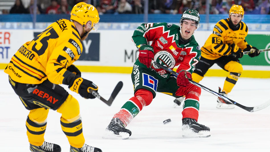 Skelleftea AIK Froluna SM semifinal match 7
