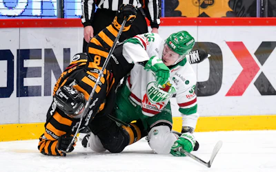 Skelleftea AIK Rogle SM final SHL