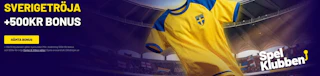 Spelklubben banner landslagstroja