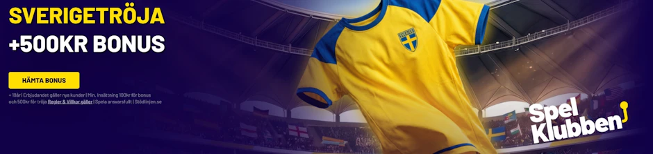 Spelklubben banner landslagstroja