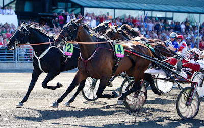 Bäst spelbolag för trav