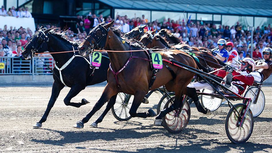 Bäst spelbolag för trav