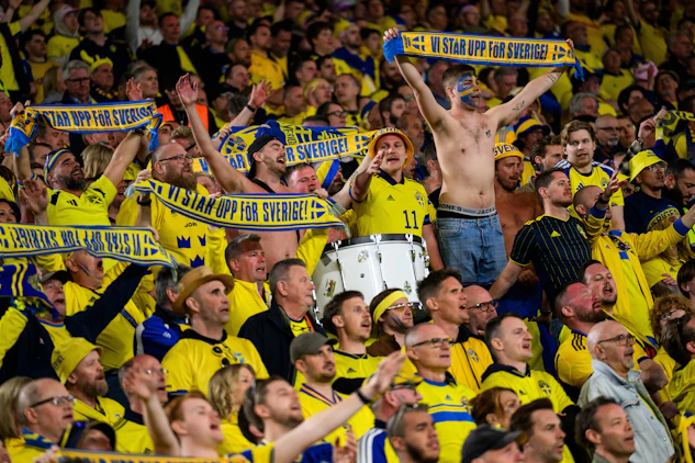 Sweden fans 3