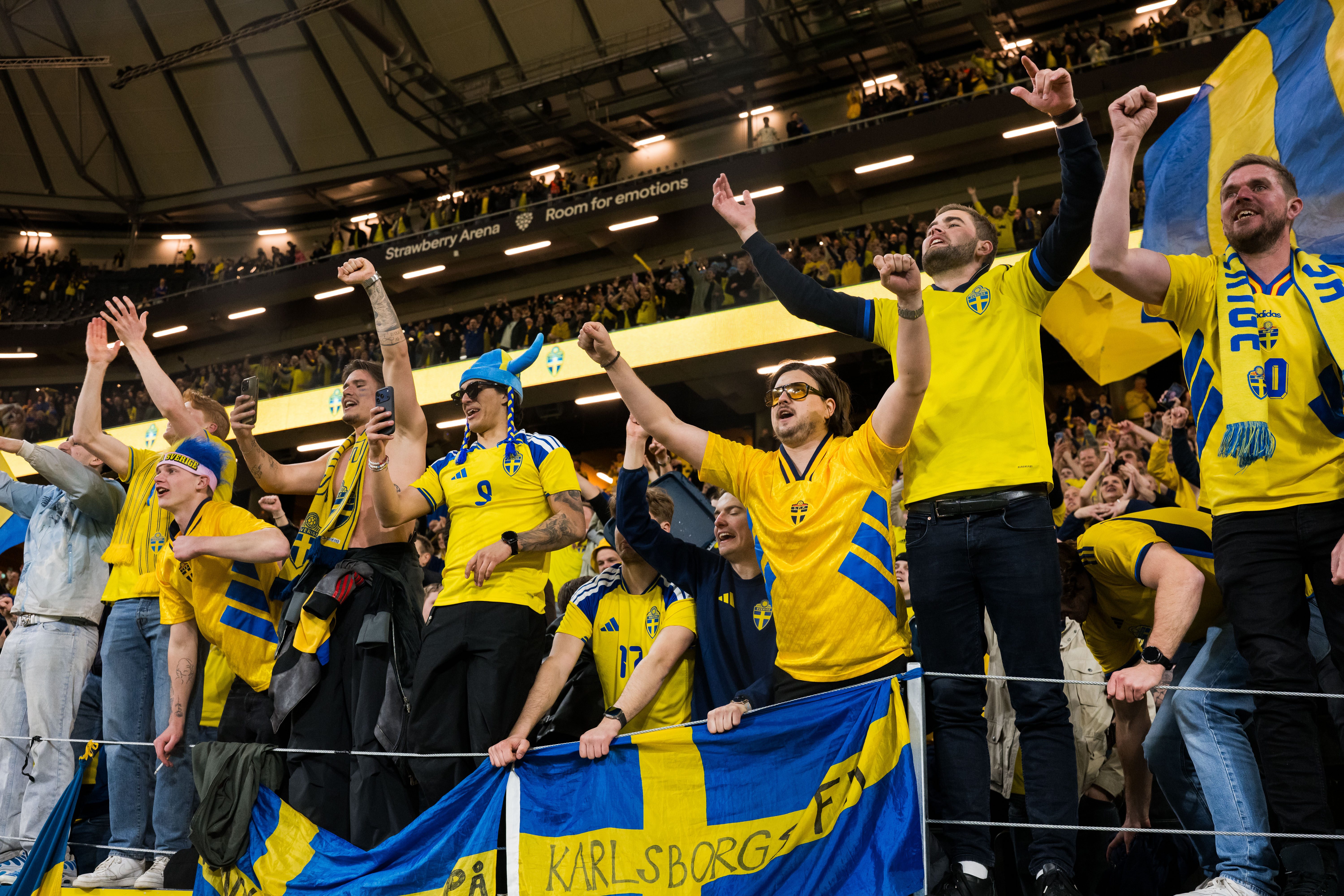 Sweden fans