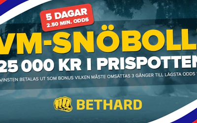 Vm Snoboll Bethard