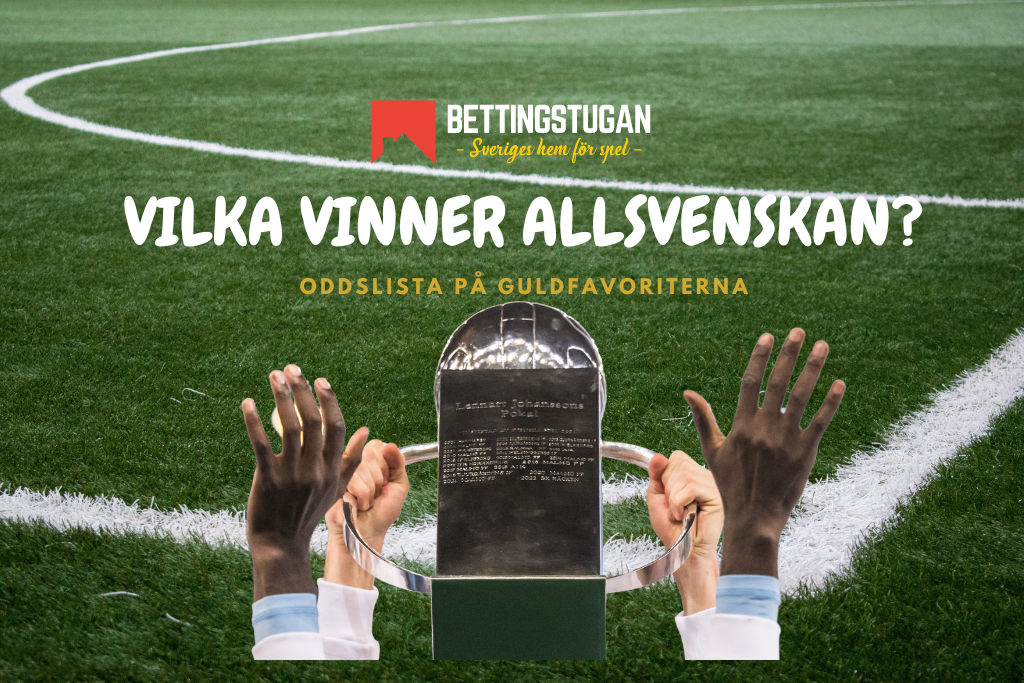 Vinnarodds Allsvenskan 2024