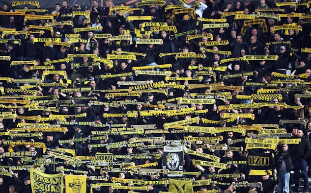 Young Boys Fans