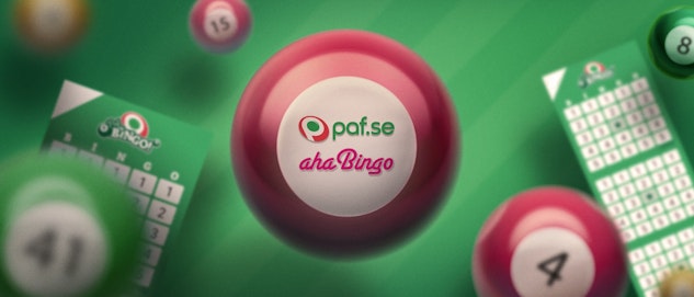 bingo paf casino bonus jackpot big win