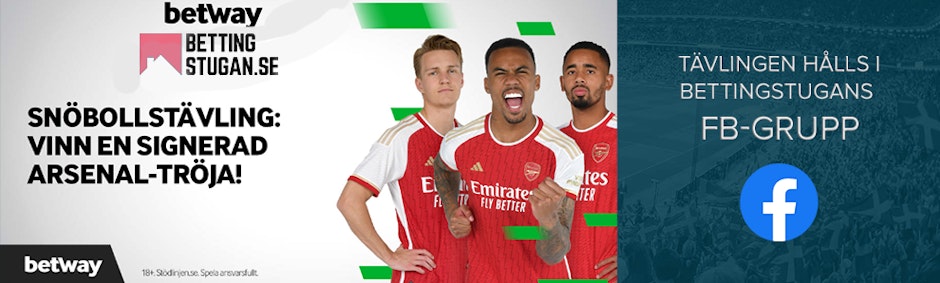 Bettingstugan fb banner