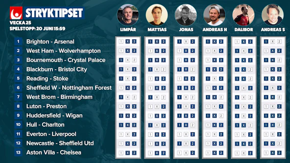 Dullen 6 stryktips v25