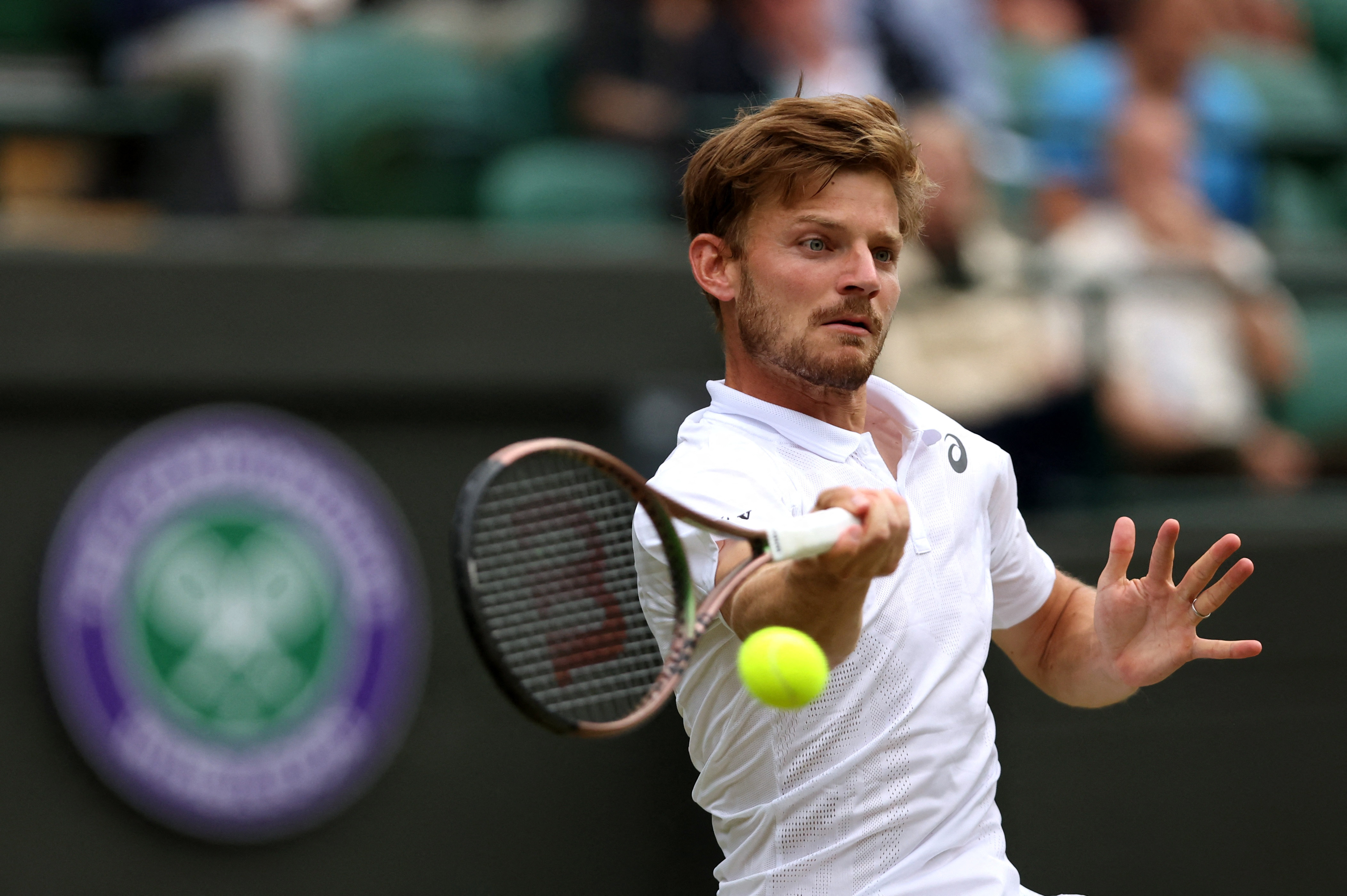 Speltips Barrios Vera - Goffin