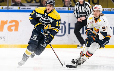 Hv71 djurgarden
