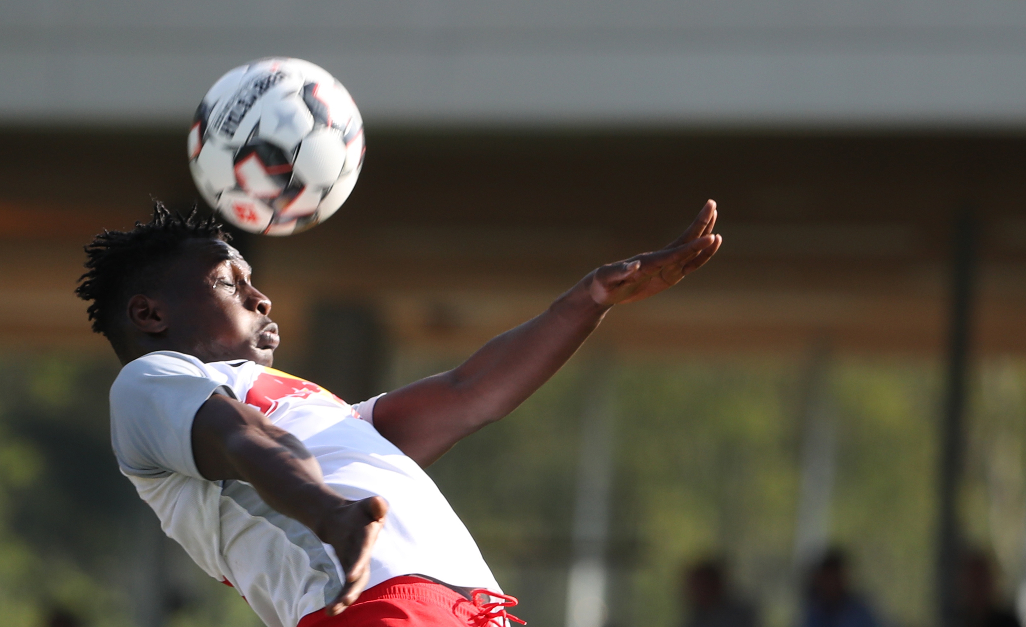 Speltips Olaria - Americano