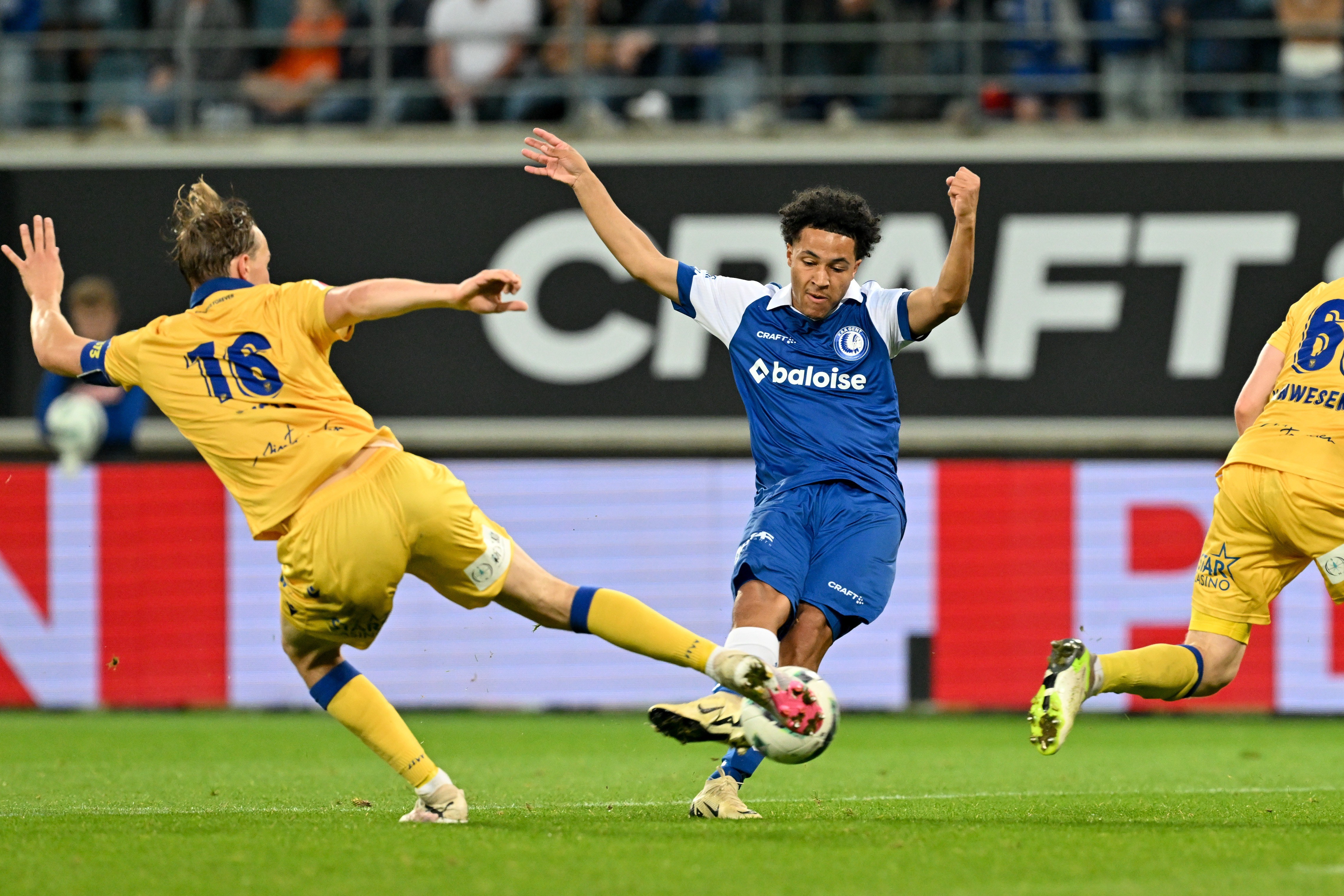 Speltips Sint-Truidense  - Beerschot