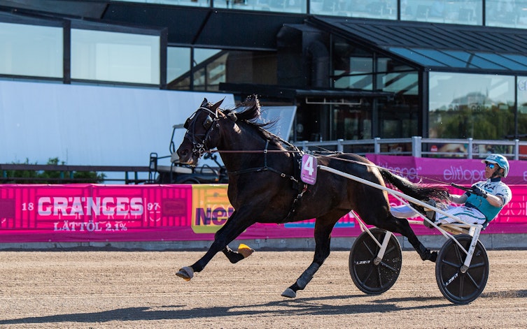 Speltips Elitloppet 2022