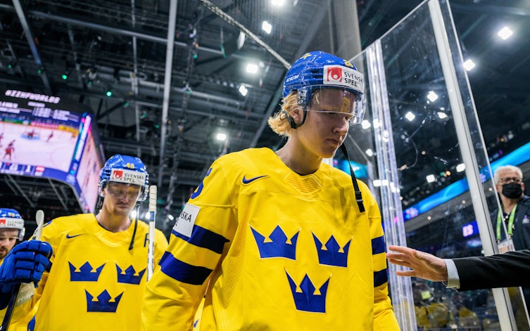 Speltips Tjeckien-Sverige