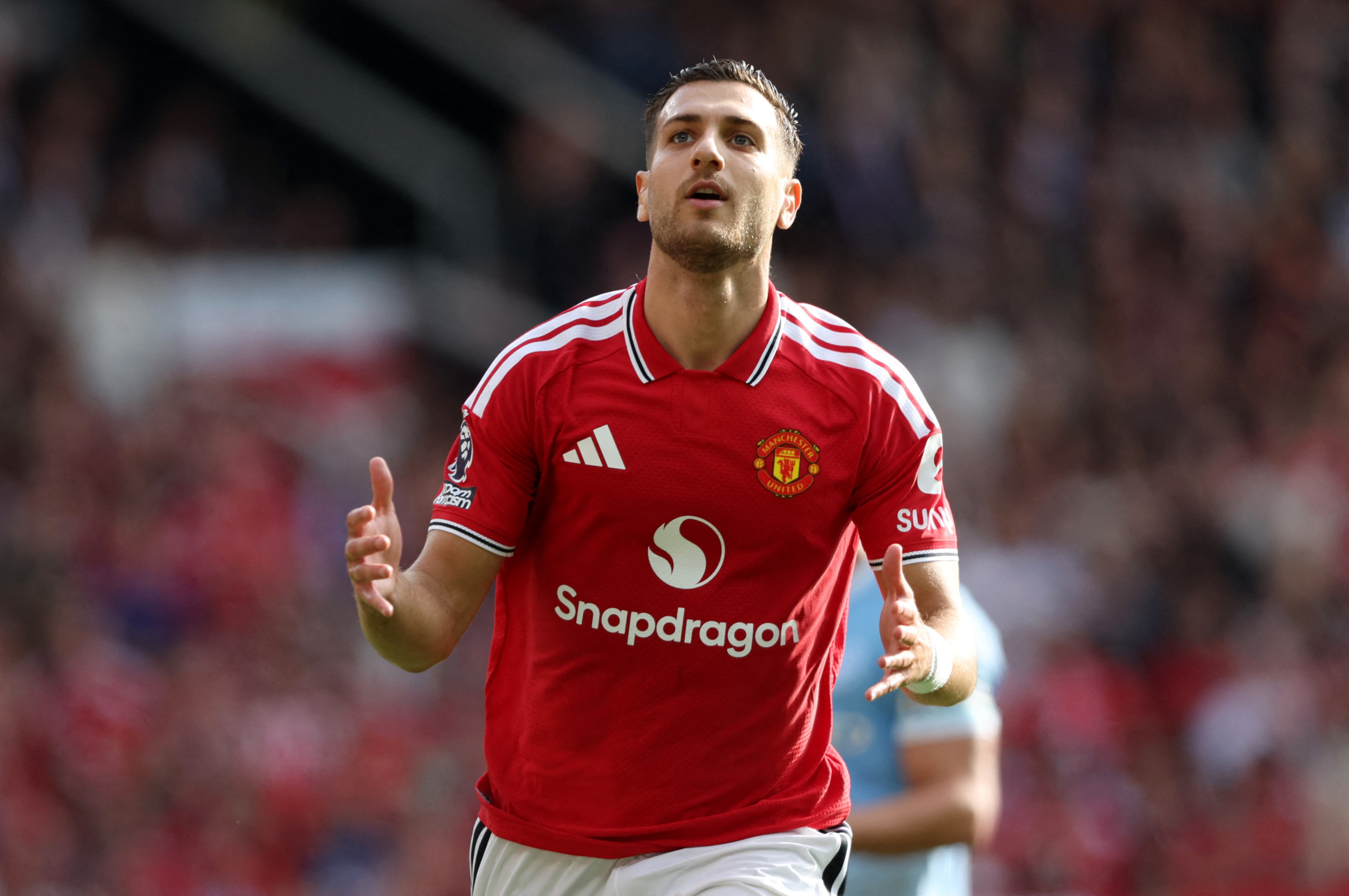 Manchester United - Brighton