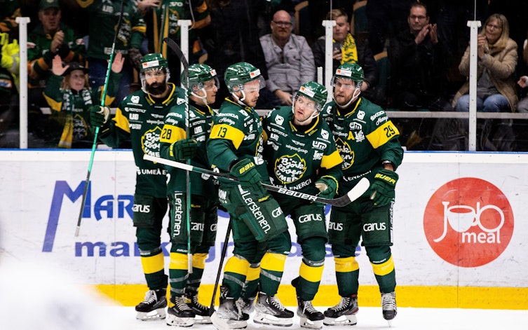 Speltips Almtuna - Björklöven