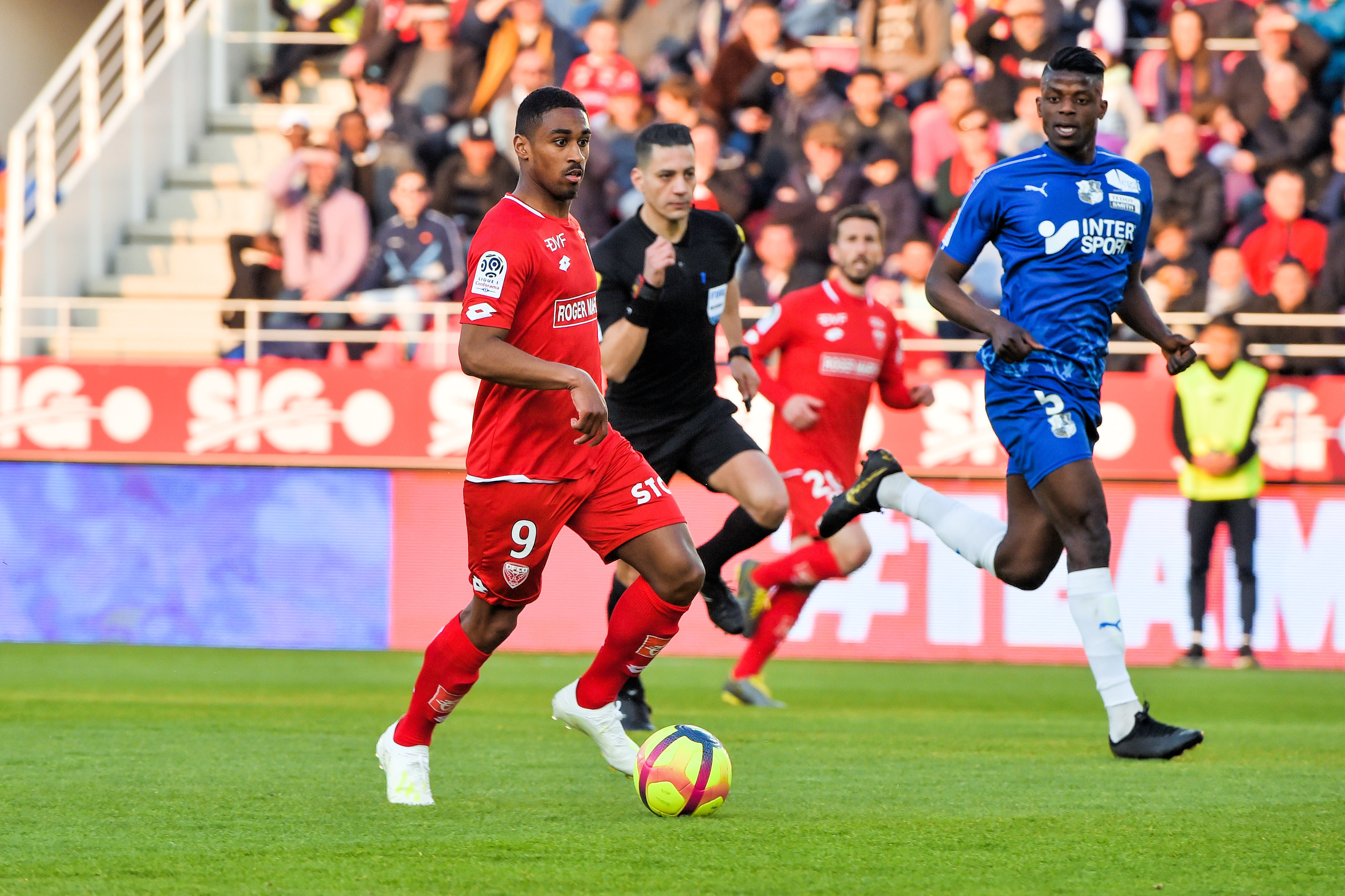 Speltips Dijon - Lens