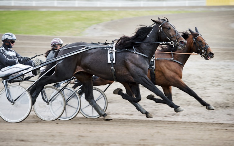 Speltips V75 Jägersro Vinnarspel