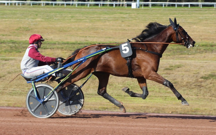 Speltips Elitloppet 2023