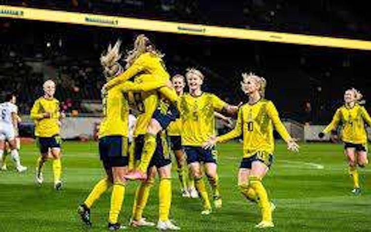 Speltips Japan - Sverige